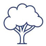 Ícone arvore
