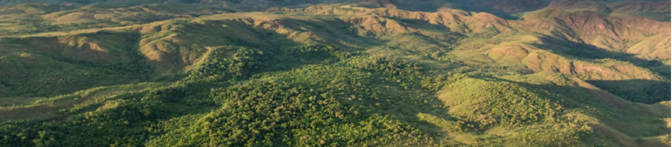 Imagem da Reserva da Serra do Tombador
